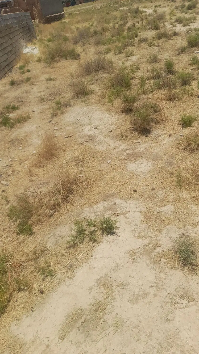 زمین مسکونی