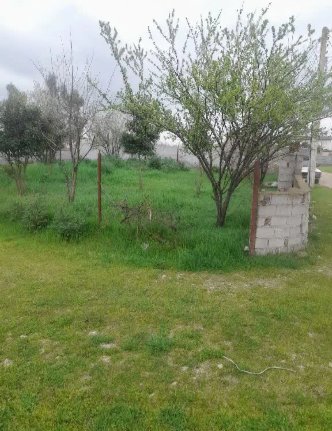زمین مسکونی ۲۰۰ مترب نزدیک جاده دریا
