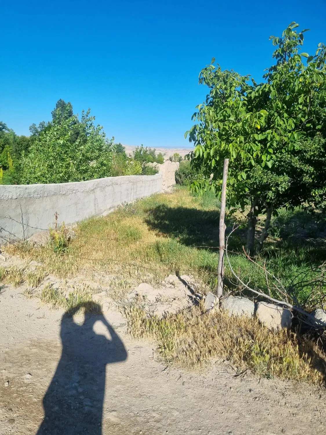باغ  با سهمیه آب