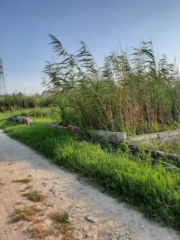 ۳۸۰ متر زمین  محمودآباد سیاهرودسر