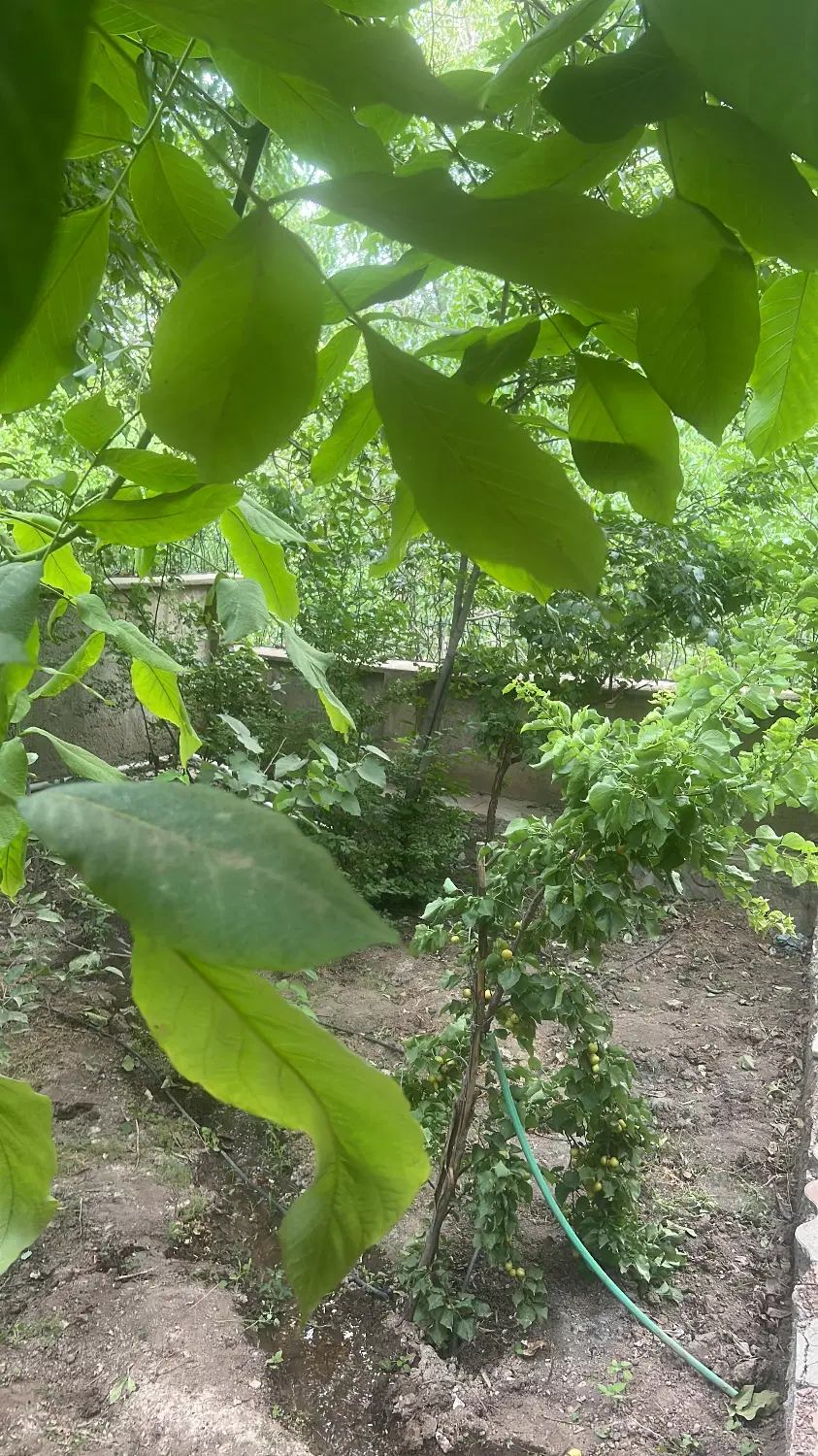 خانه ویلایی گرگان جاسب