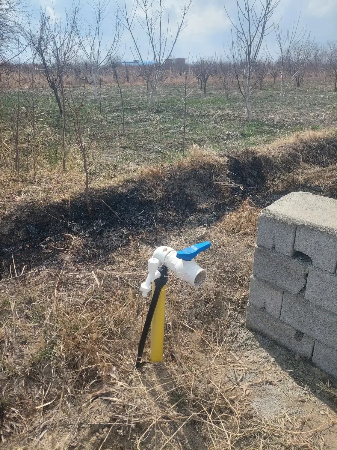 زمین‌ویلایی  ۵۰۰متری شیخ سرمست دارای آب و برق