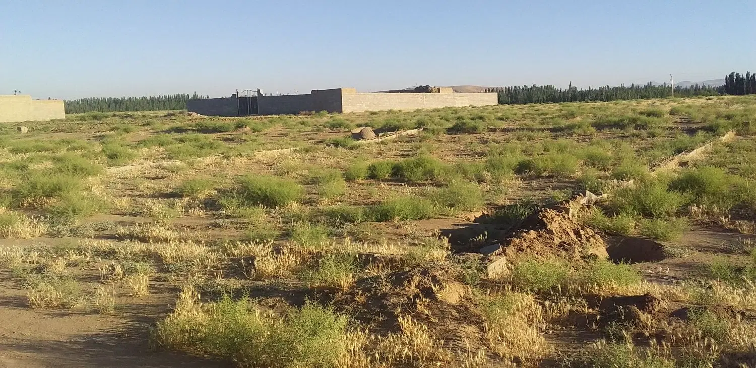 یک قطعه زمین مفت
