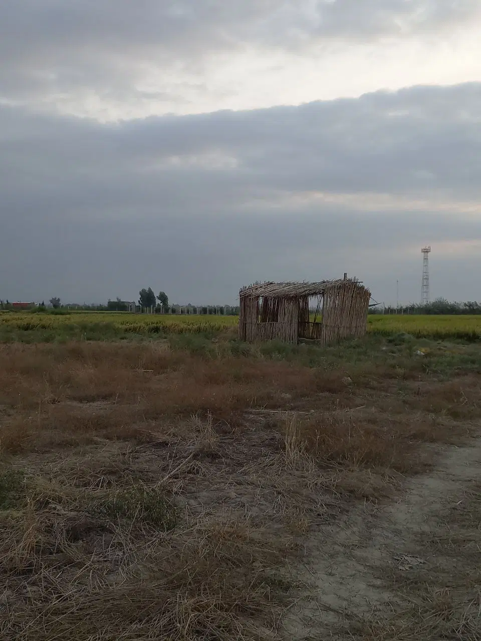 زمین باغی نزدیک فرودگاه