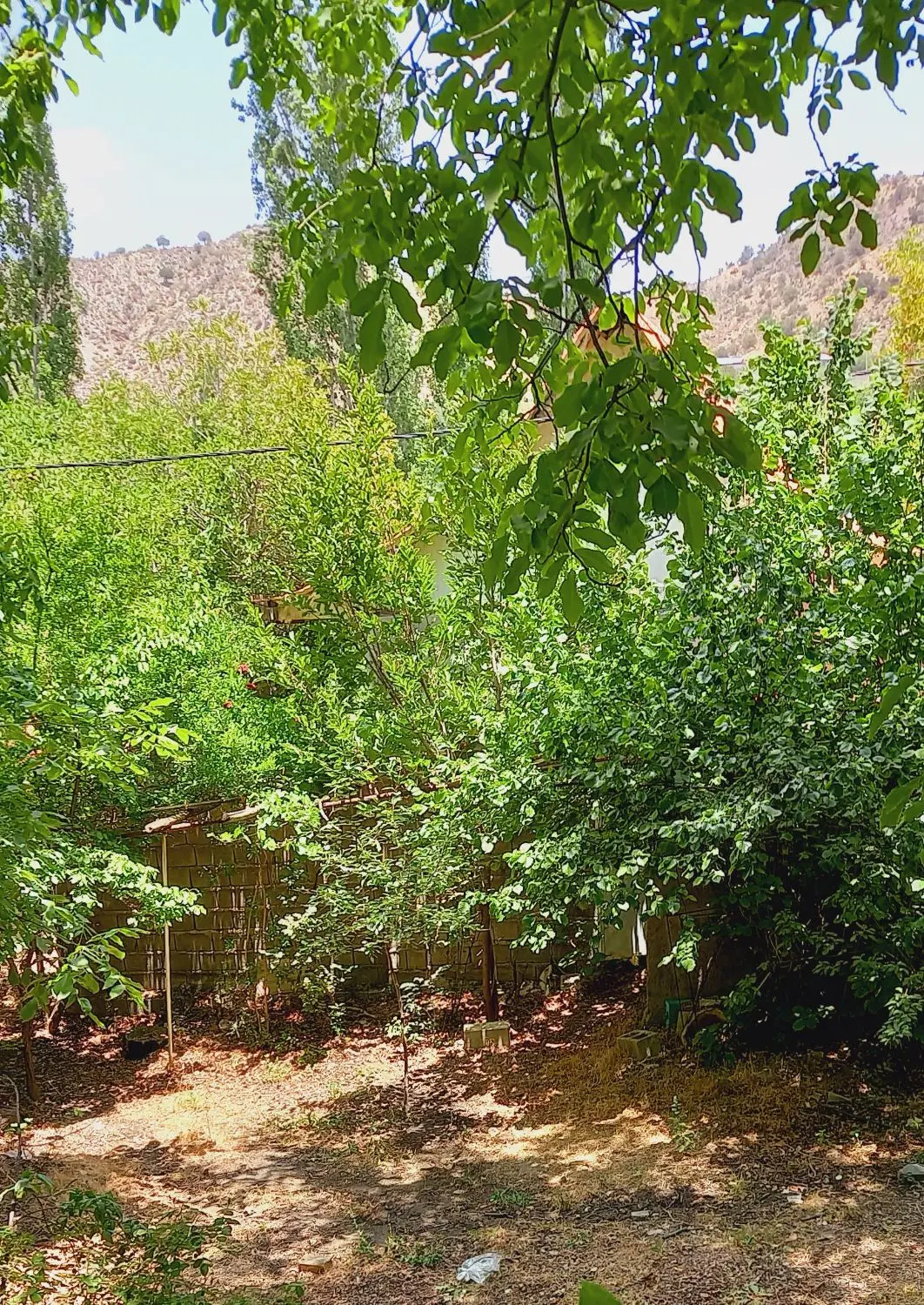 خانه ویلا در دلفارد
