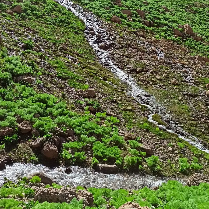 زمین دشتروم