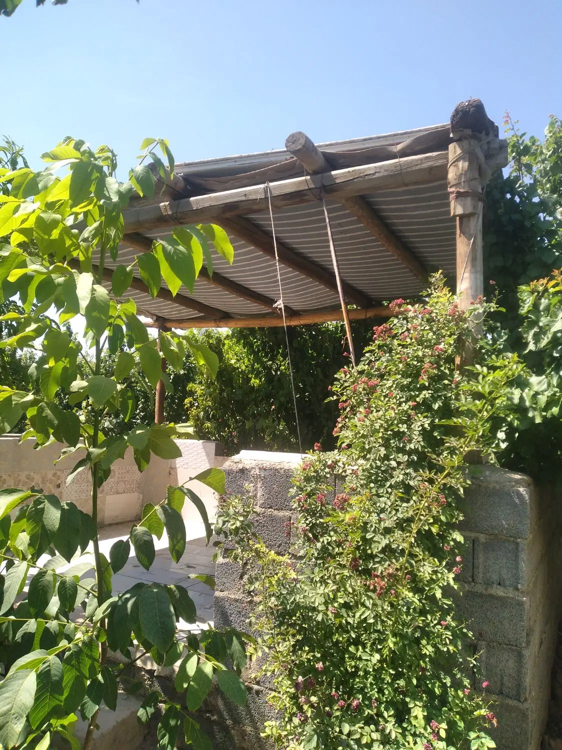 فروش زمین باغی در ماهدشت به متراژ  ۵۰۰ متر مربع