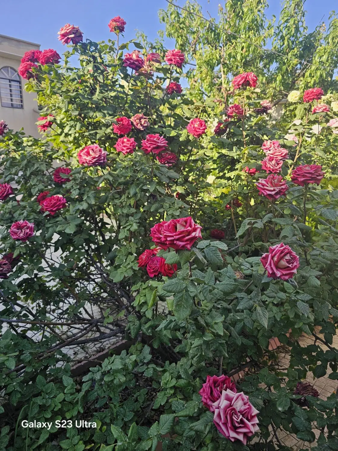 منزل مسکونی ویلایی