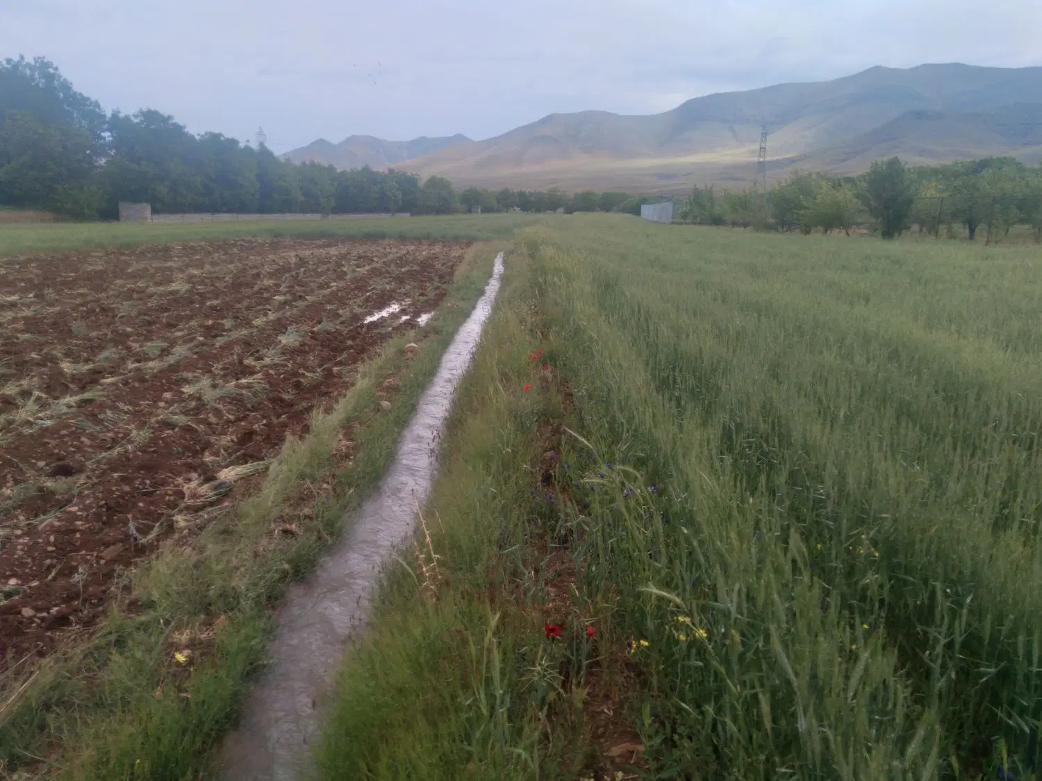 زمین فروشی