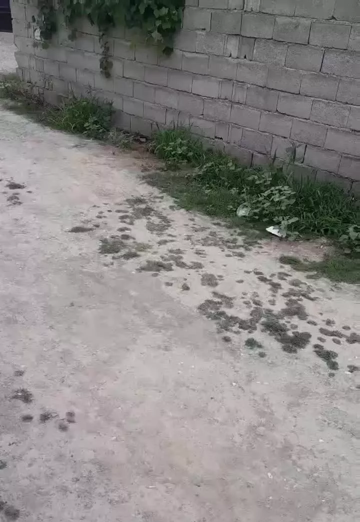 خونه ۹۰ متری