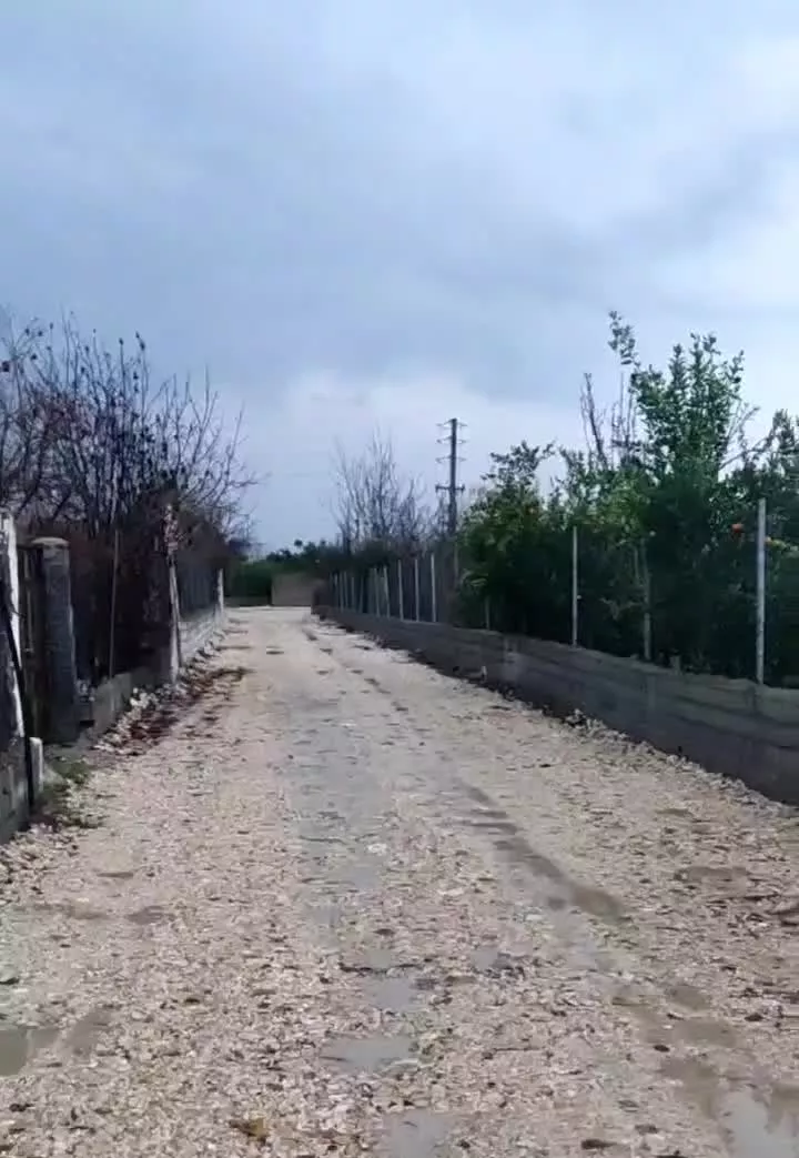 باغچه مرکبات واقع در ساری (۲۲ بهمن)