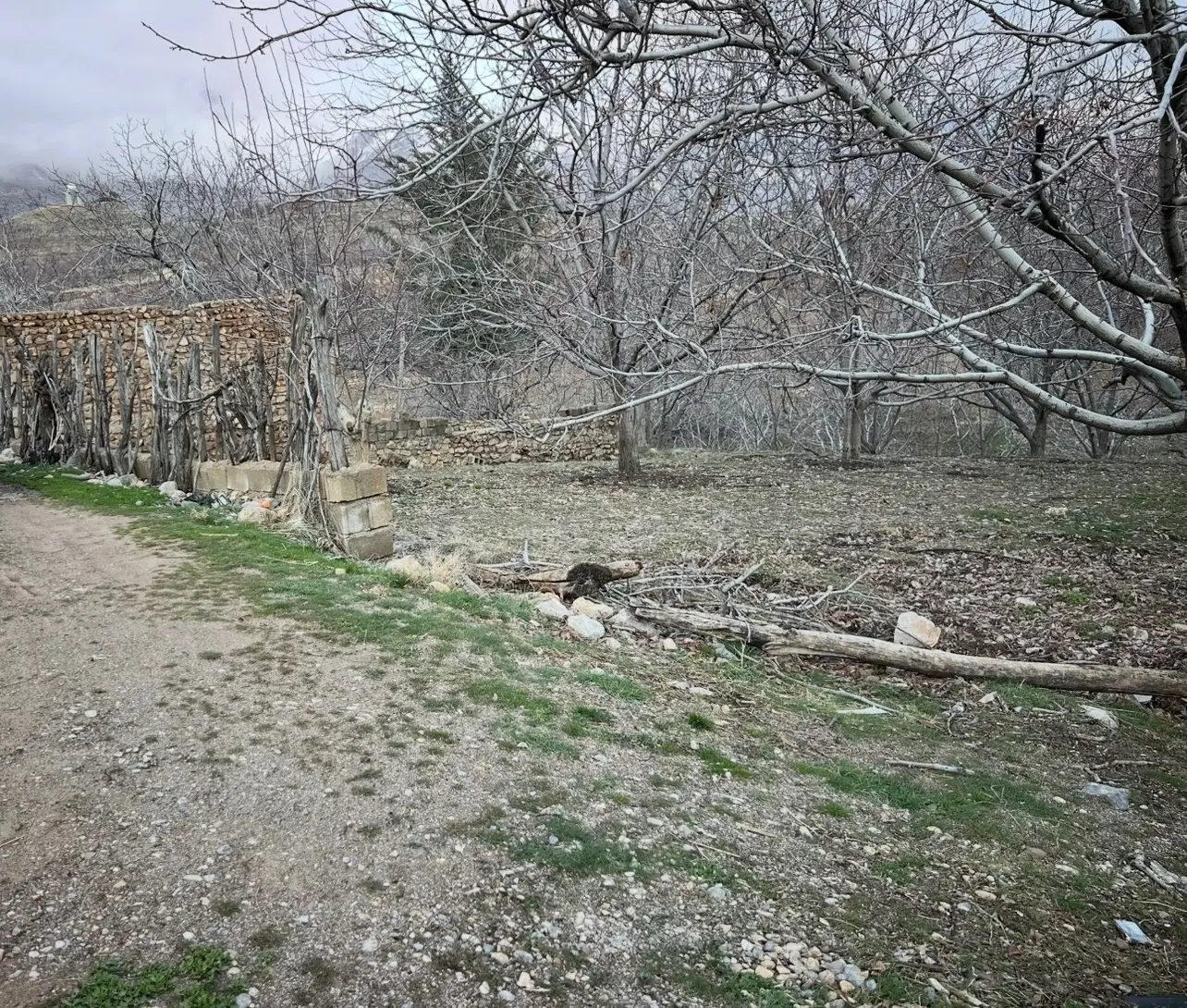 فروش باغ سی سخت