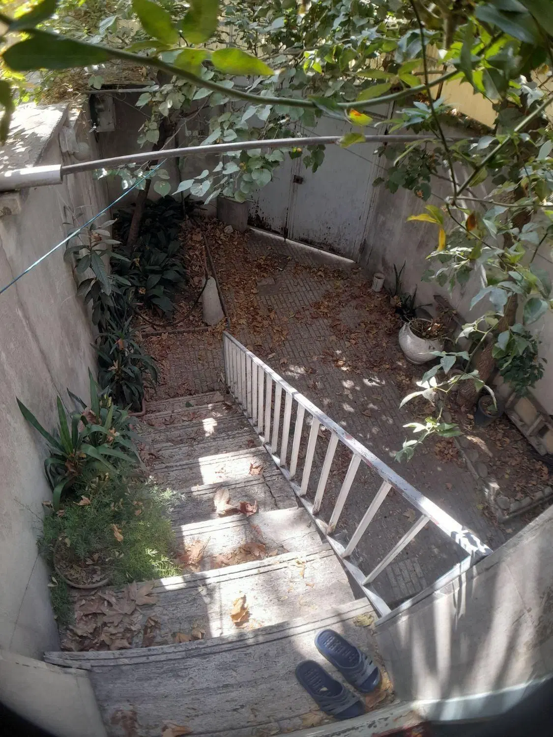 فروش باغ