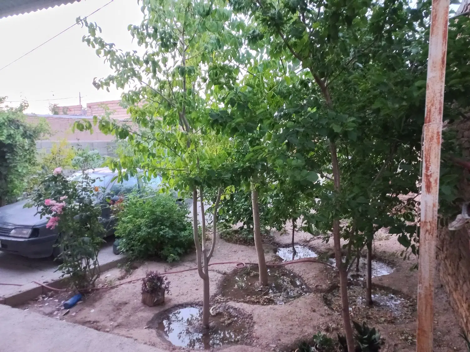 خانه باغ گوارشک