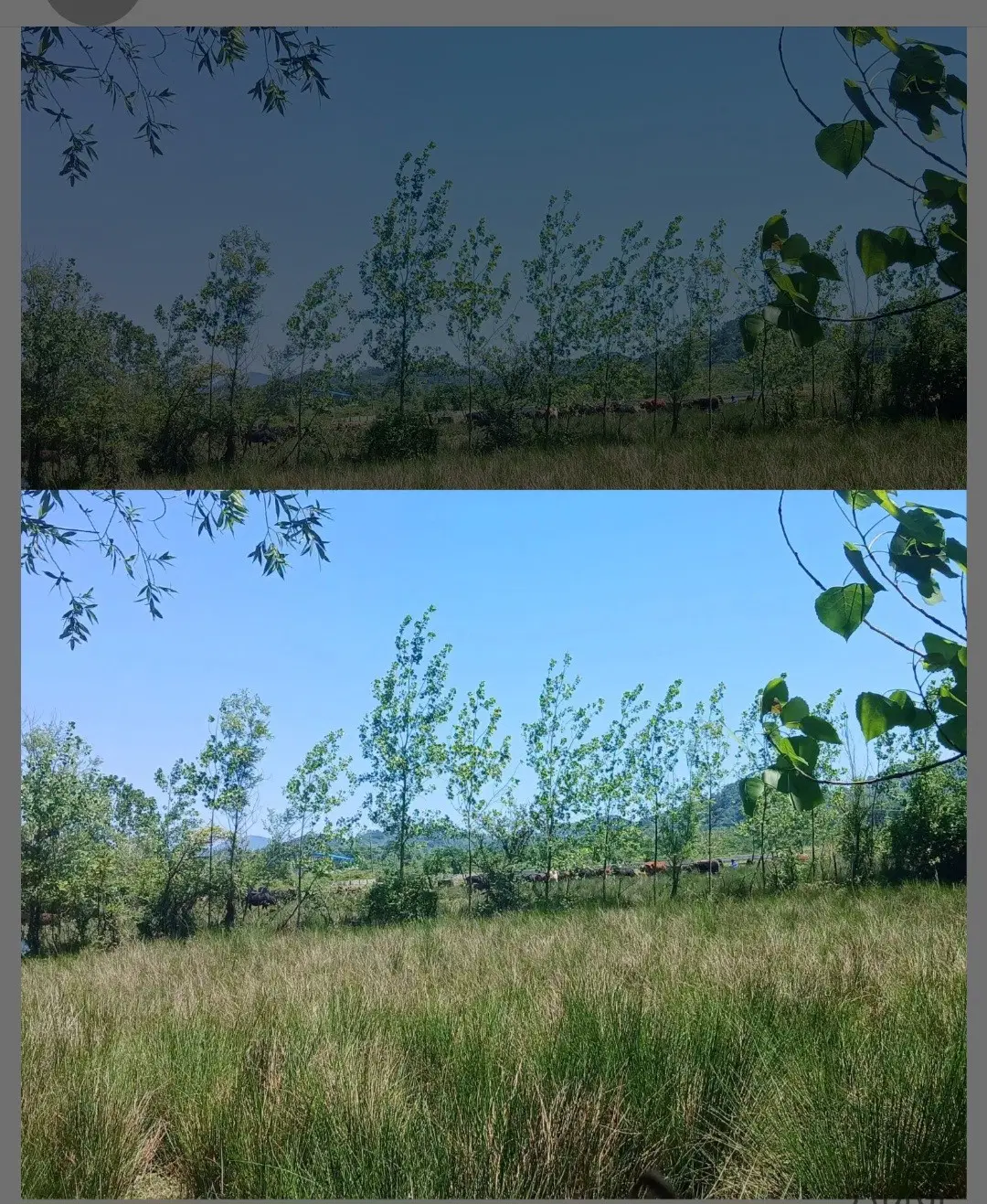 زمین مسکونی