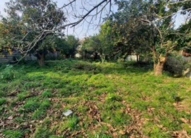 فروش قطعه زمین مسکونی به متراژ ۱۰۰۰ متر