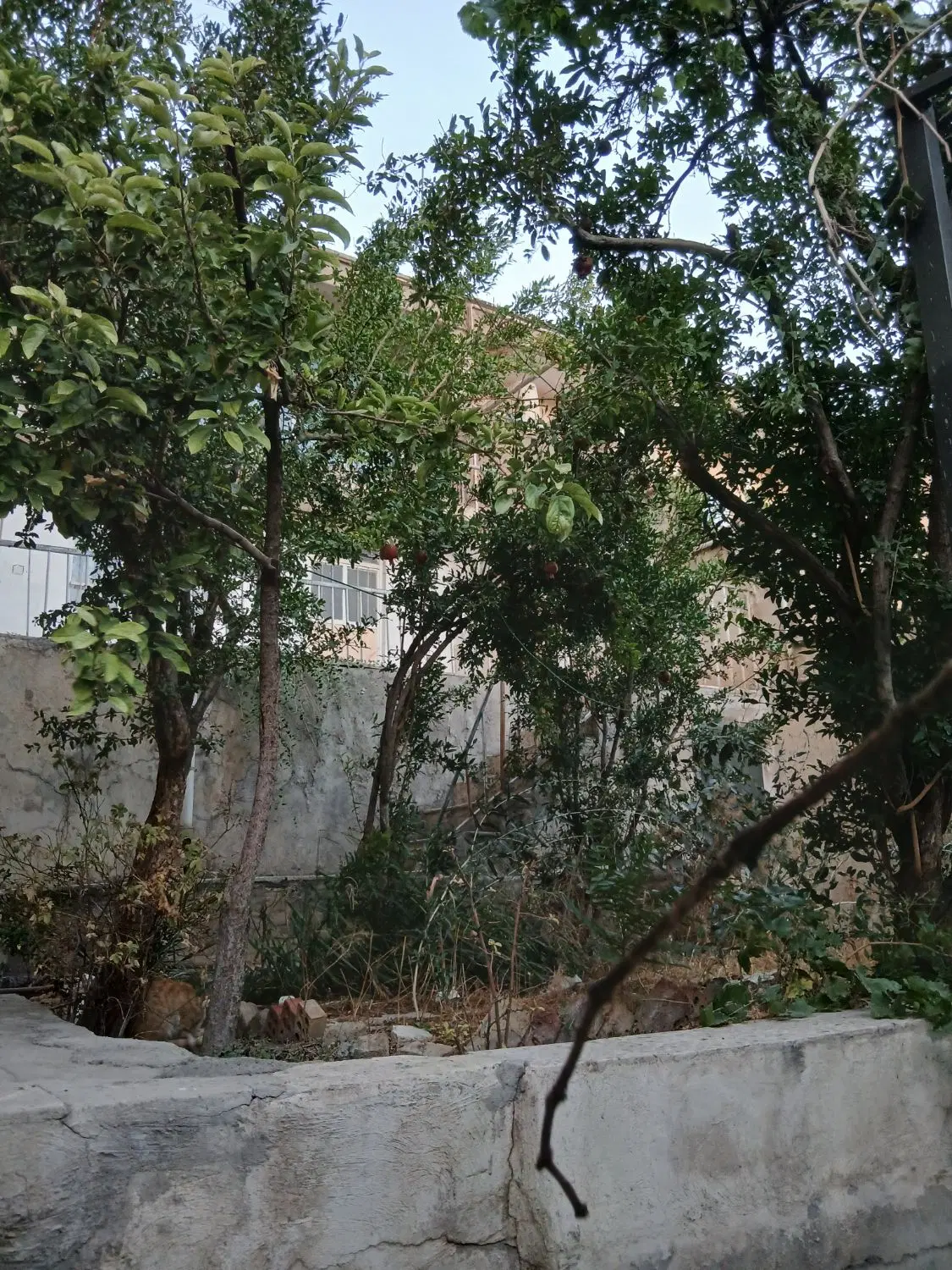 ویلایی کلنگی در کلاک بالا_ املا‌ک ارشیا