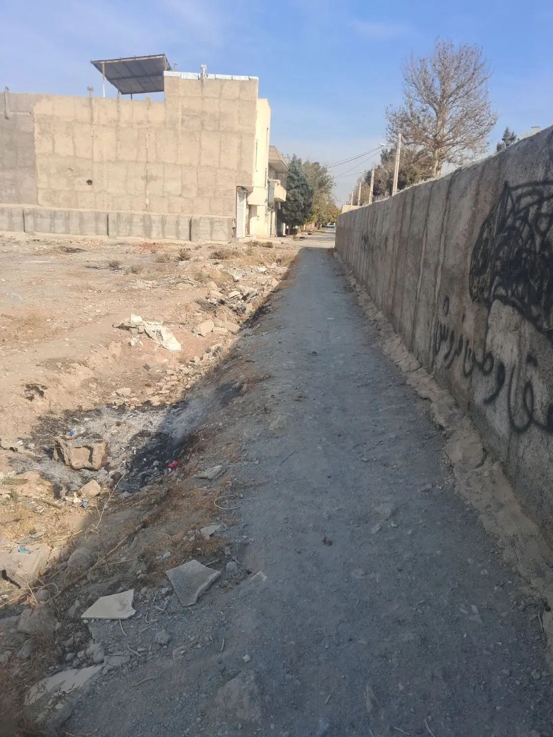 زمین 113 خیابان زیبادشت