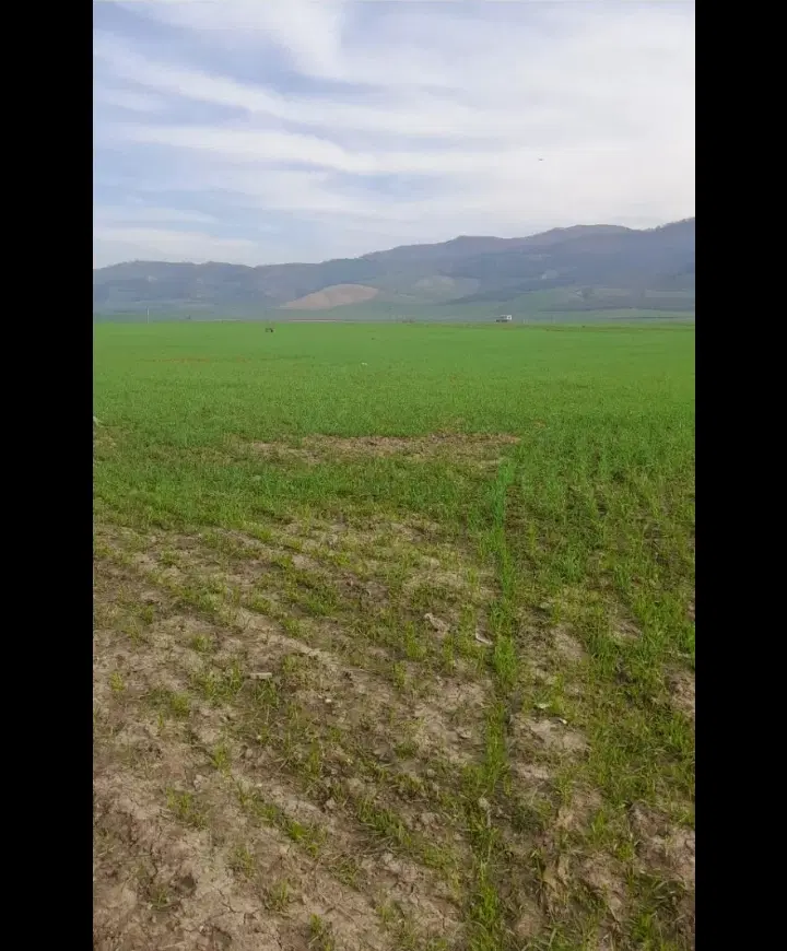 دوستان..فروش زمین.روستای نودیجه ۱۰ کیلومتری گرگان