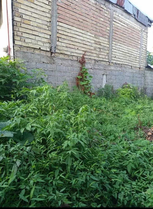 زمین مسکونی