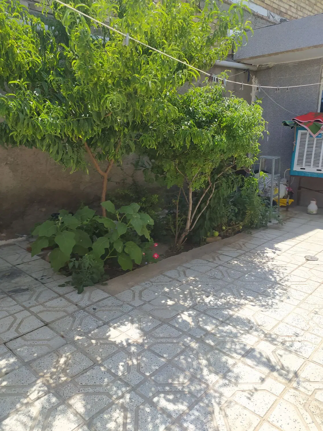 فروش منزل ویلایی