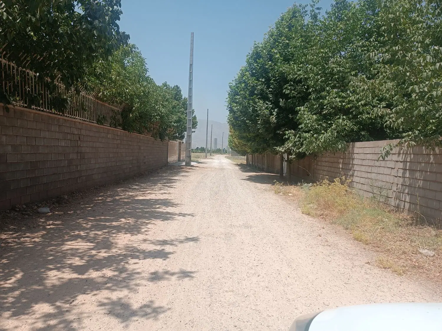 زمین باغ شهری 1000 متری خیابان پارسیان شمالی
