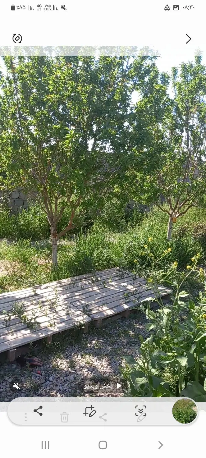 فروش باغچه چهاردیواری