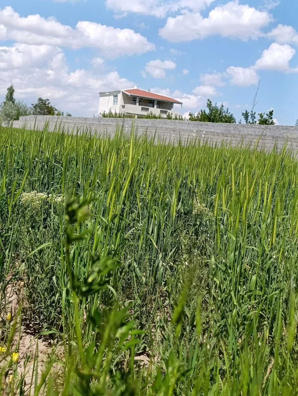 زمین ویلایی و باغی شهرجدید شهریار براتوبان
