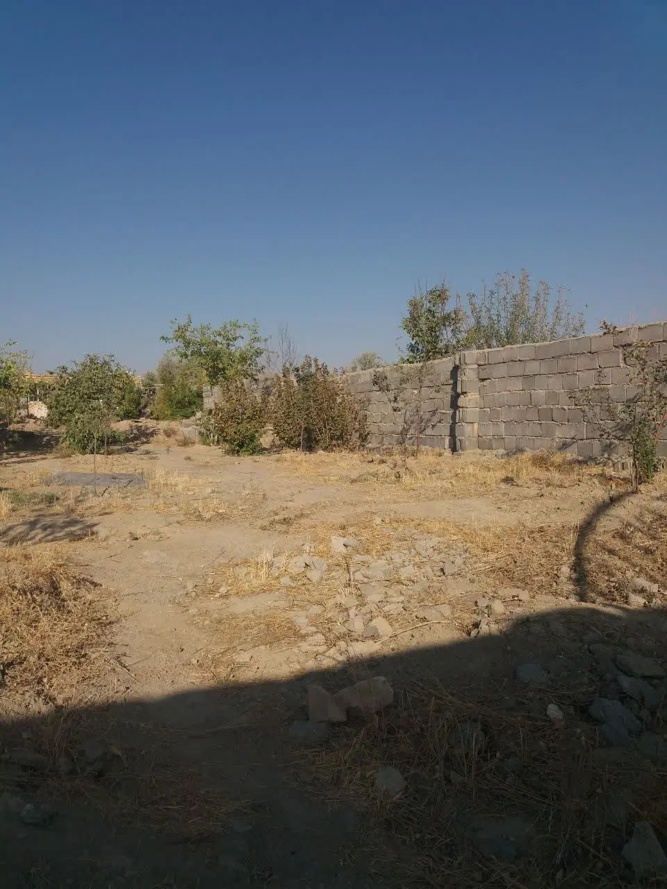 ۵۵۰ مترباغ روستای شمس آباد