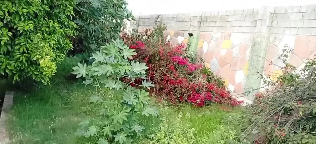 ویلا ۵۰۰۰متری بزرگ‌ شیک دزفول