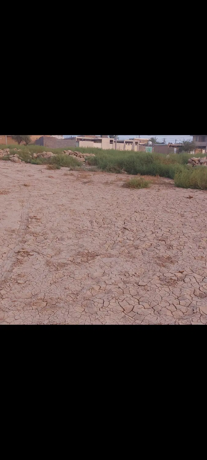 زمین ۲۴۰ متری دونبش در دونه