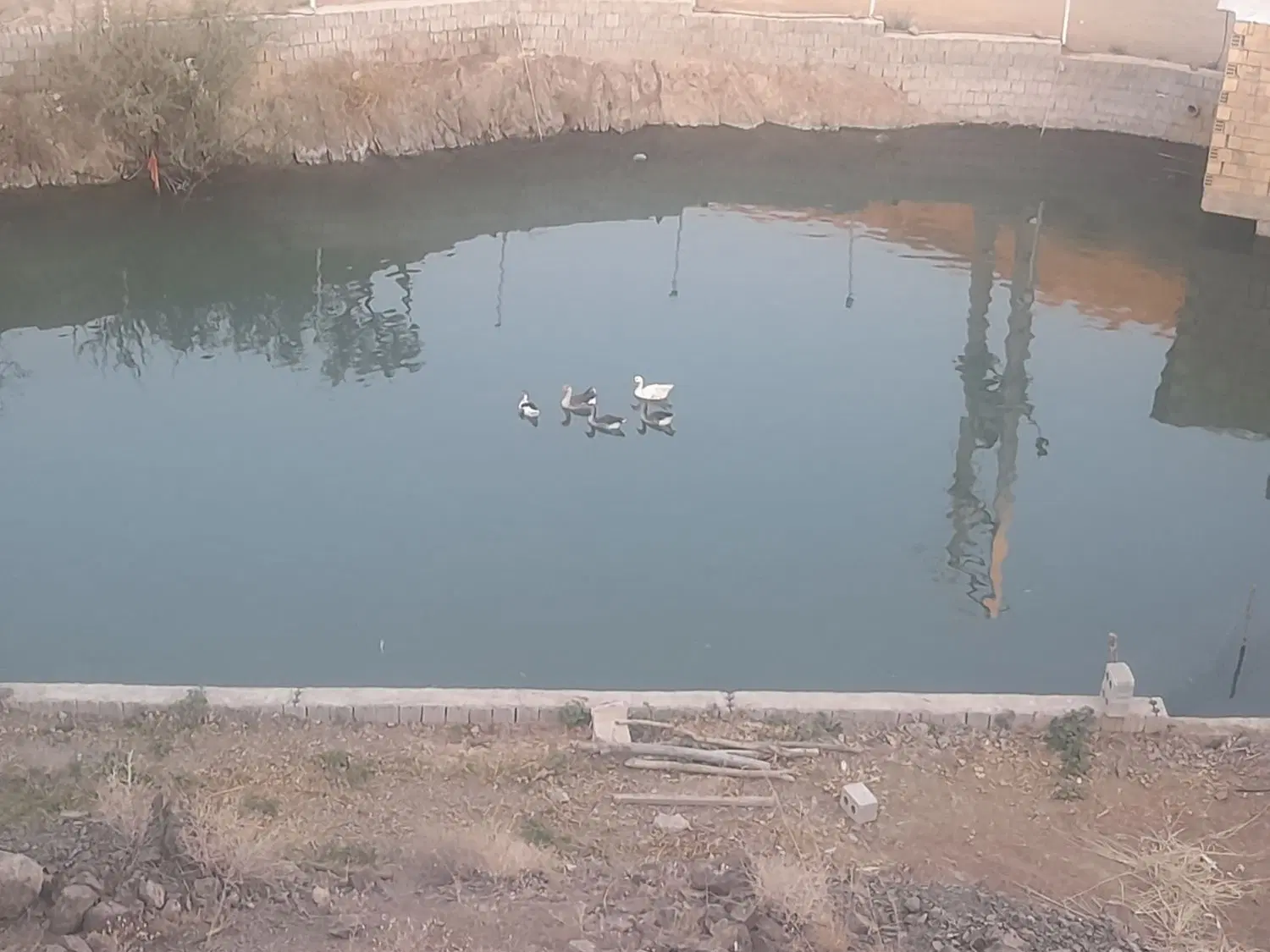 فروش زمین کنار رودخانه