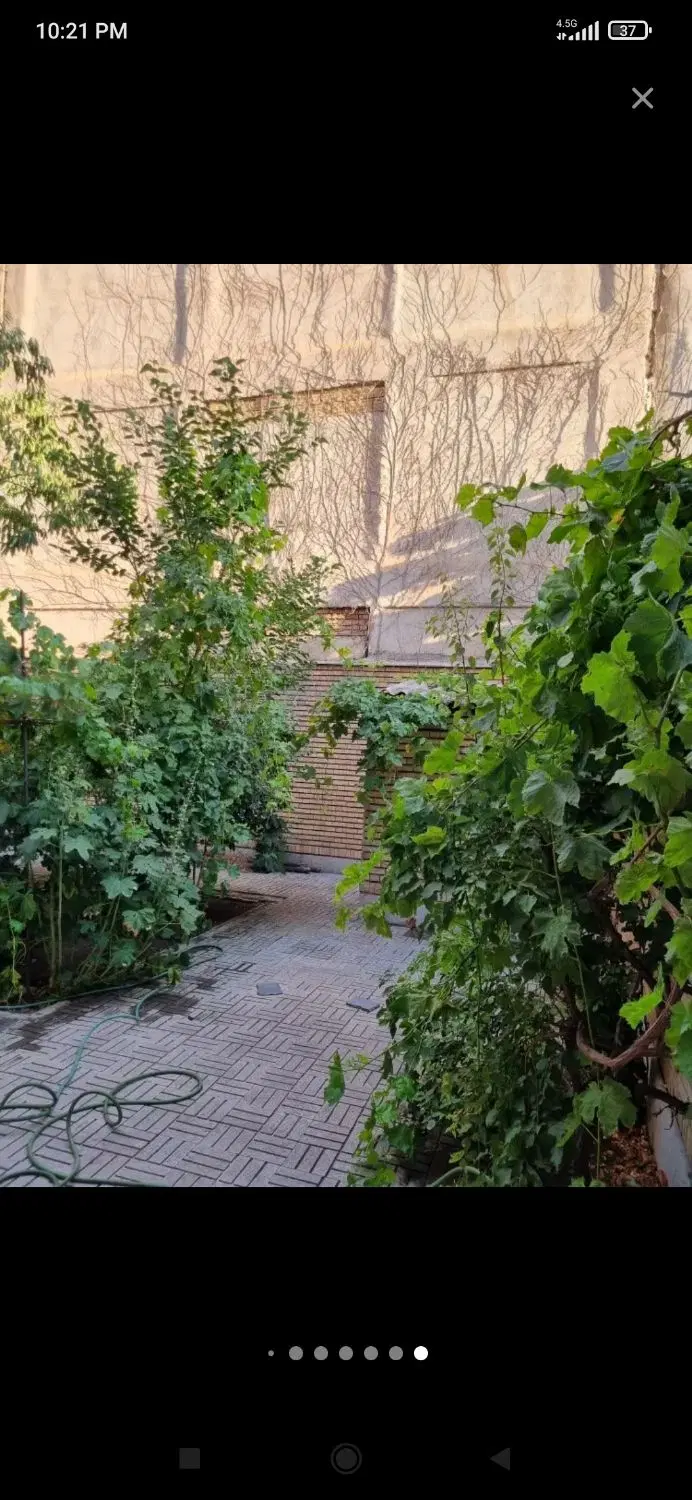 مشارکت در منطقه منصور