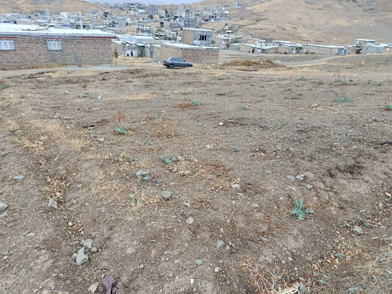 زمین و املاک کلنگی