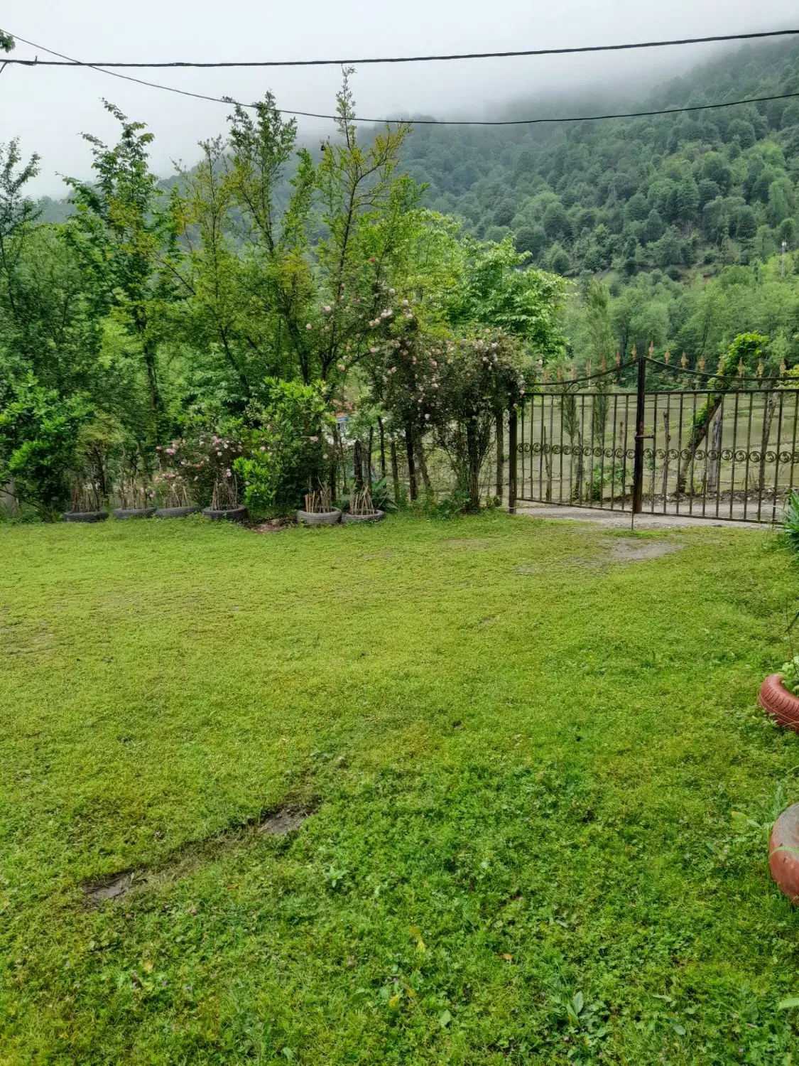ویلا جنگلی