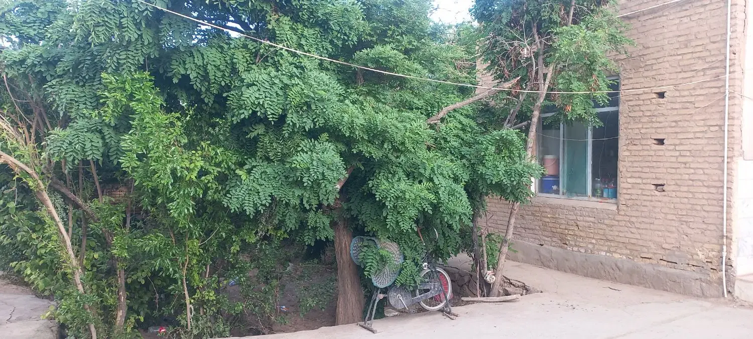زمین مسکونی
