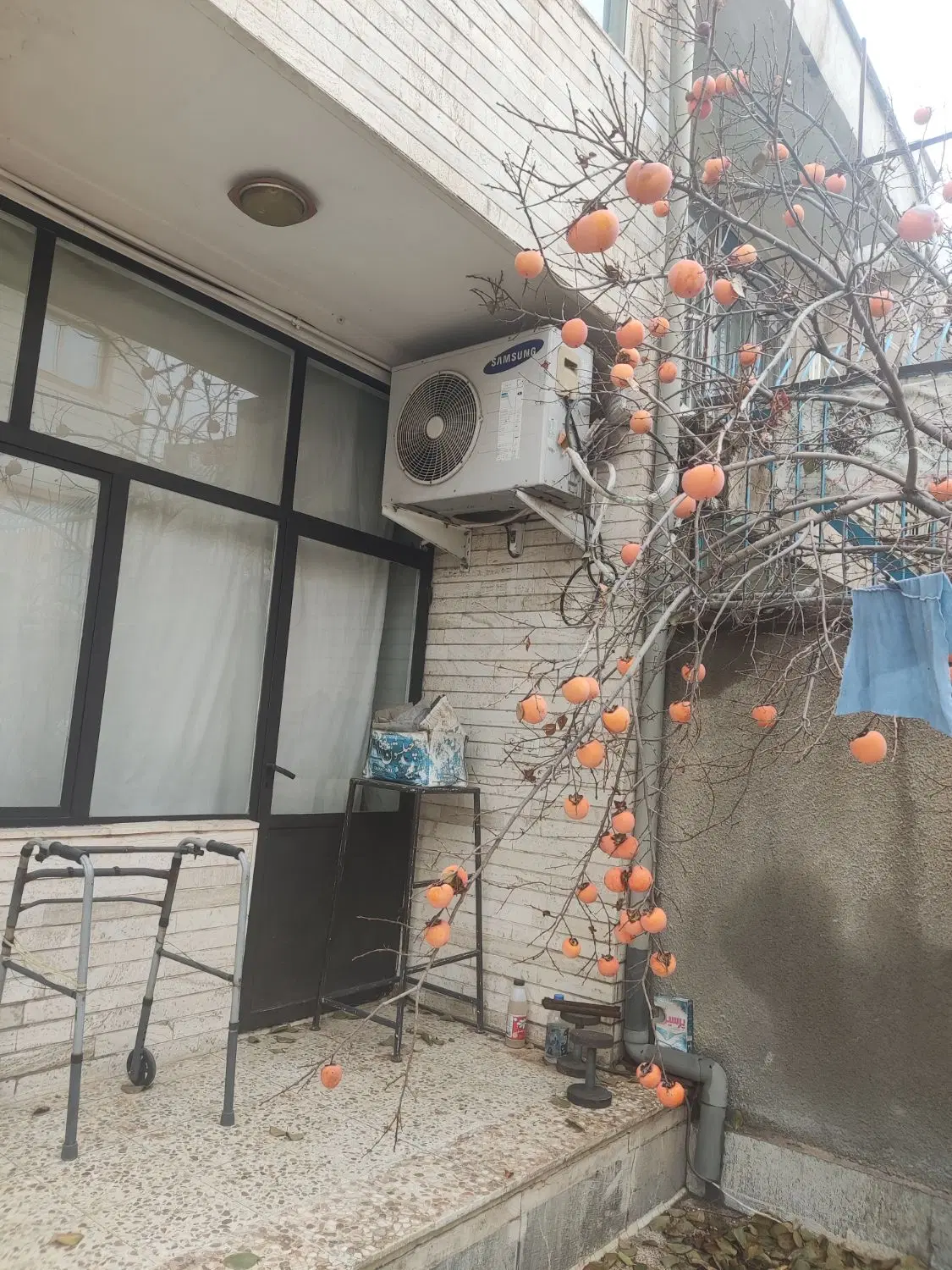 نیازمند مستاجر