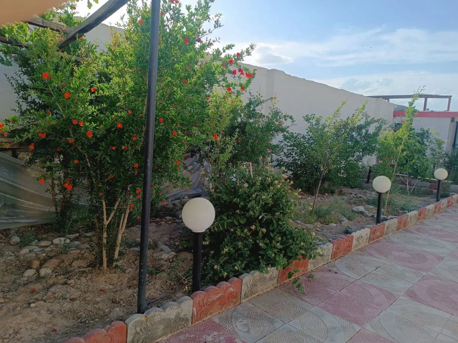 باغچه