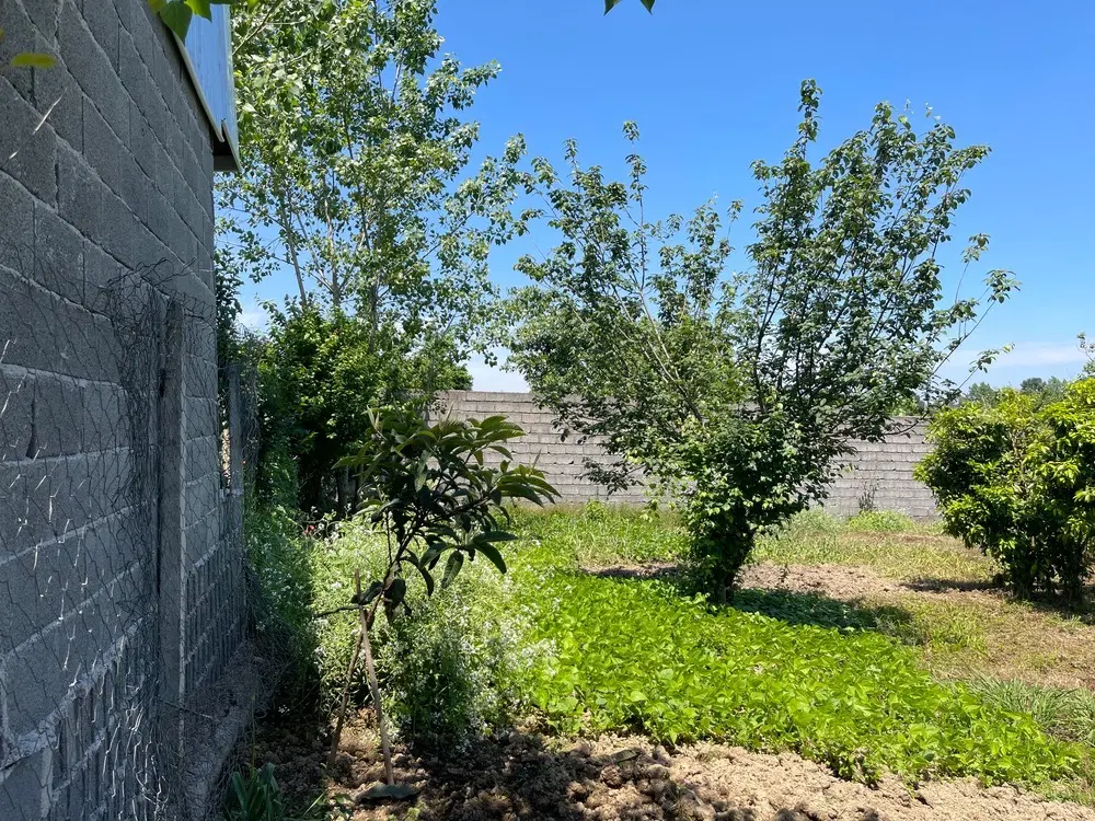 زمین لاهیجان ،  روستای سوستان