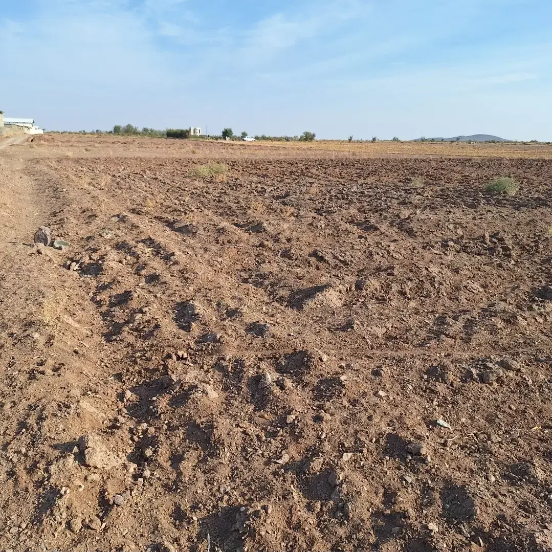 ۱۶۰۰ متر زمین کشاورزی