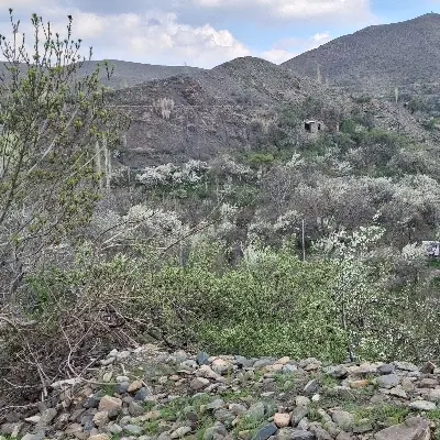زمین فروشی شهرک خور