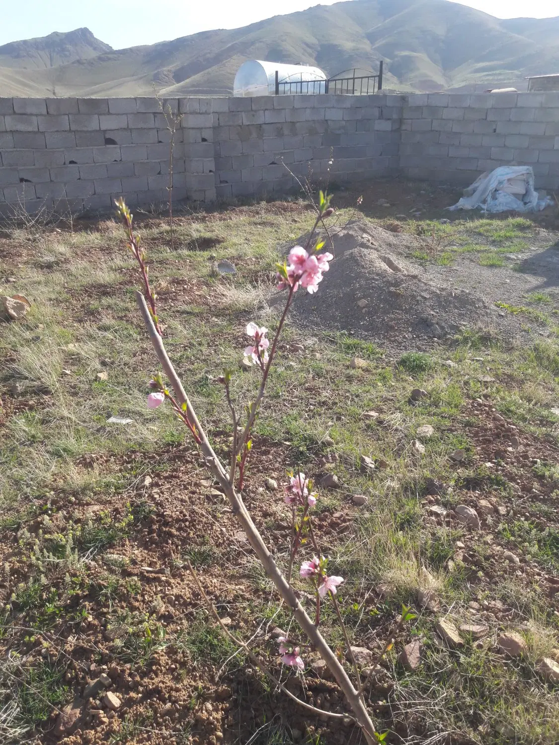 فروش قعطه نقلی روستای مزرعه  860 مترمربع