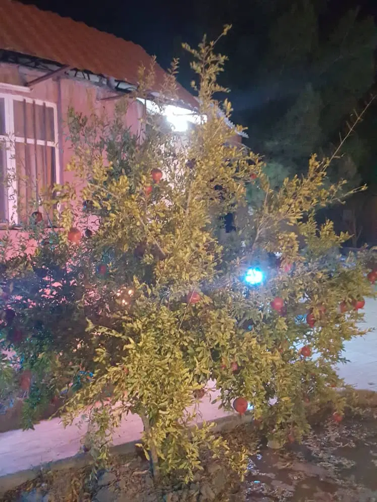 فروش باغ ویلا با ویو خوب