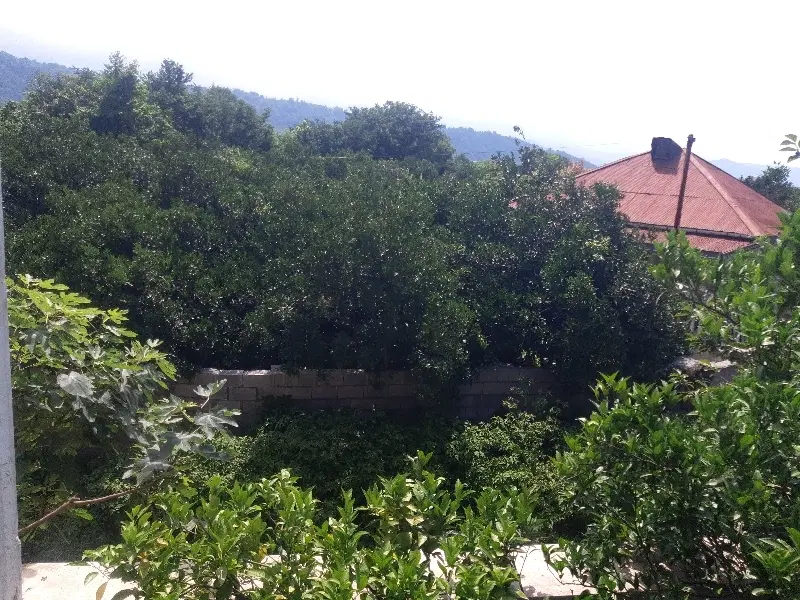 زمین دو قطعه ۲۸۵متری