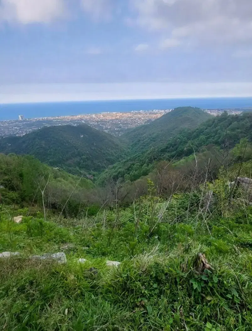 زمین ۳۱۰ متر مسکونی _ شش دانگ _ مستطیل