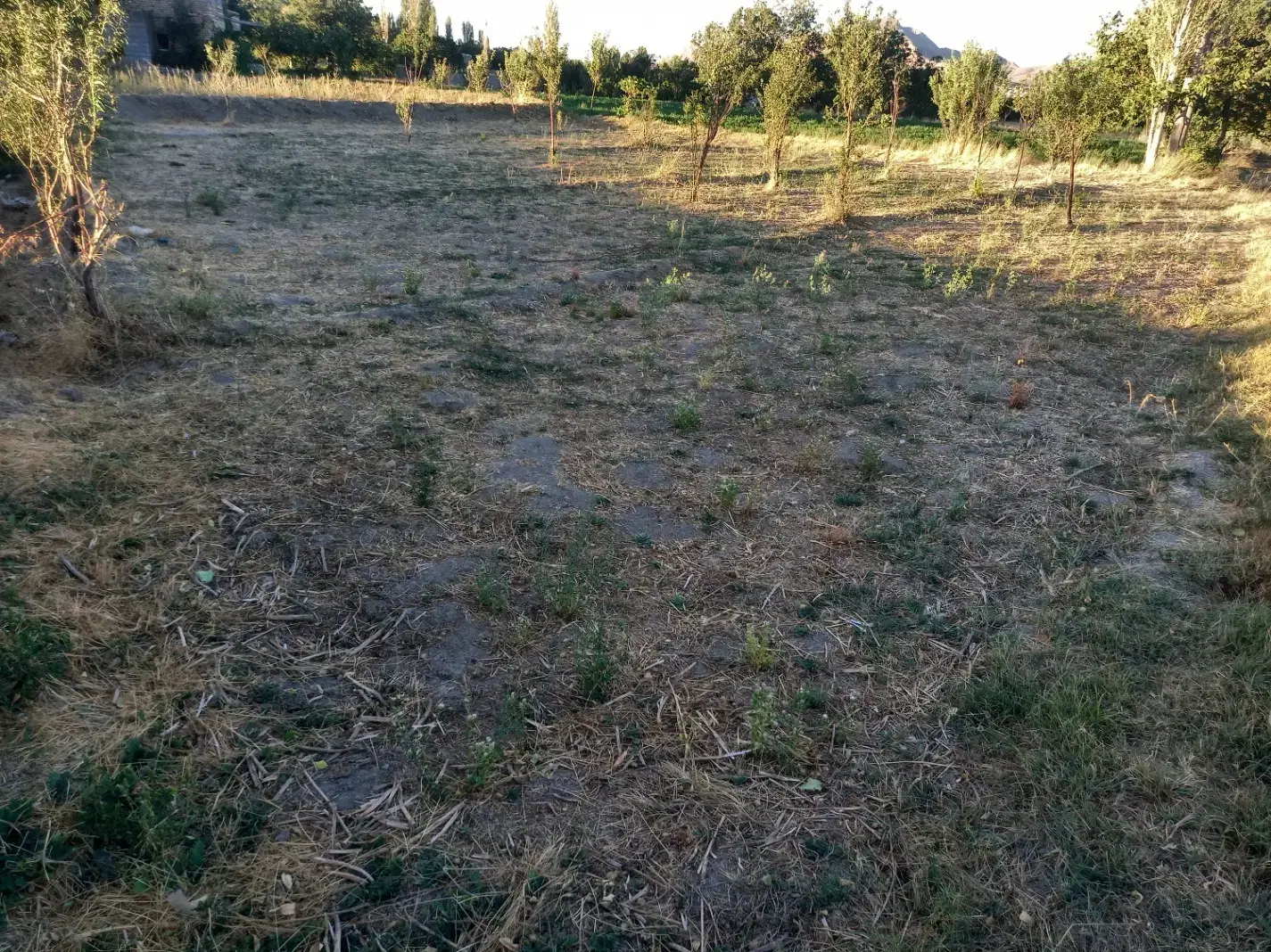 زمین باغی و کشاورزی