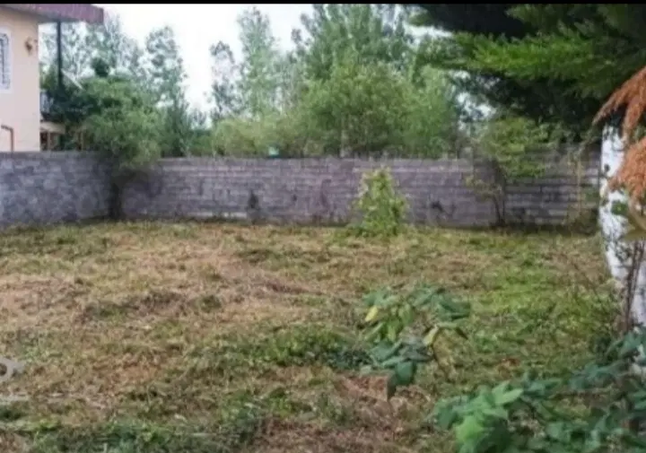 زمین بسیار خوش قواره و زیبا ،ویوی ابدی جنگل