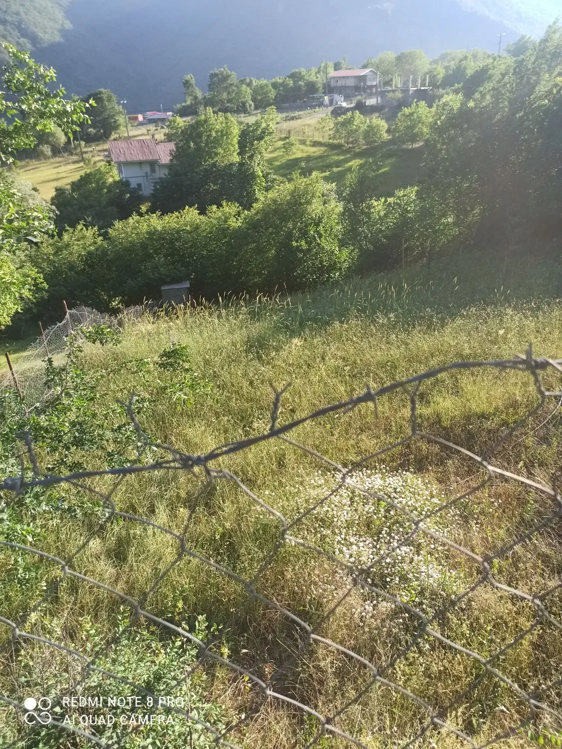 زمین ۲۰۰ متری فروشی مریان
