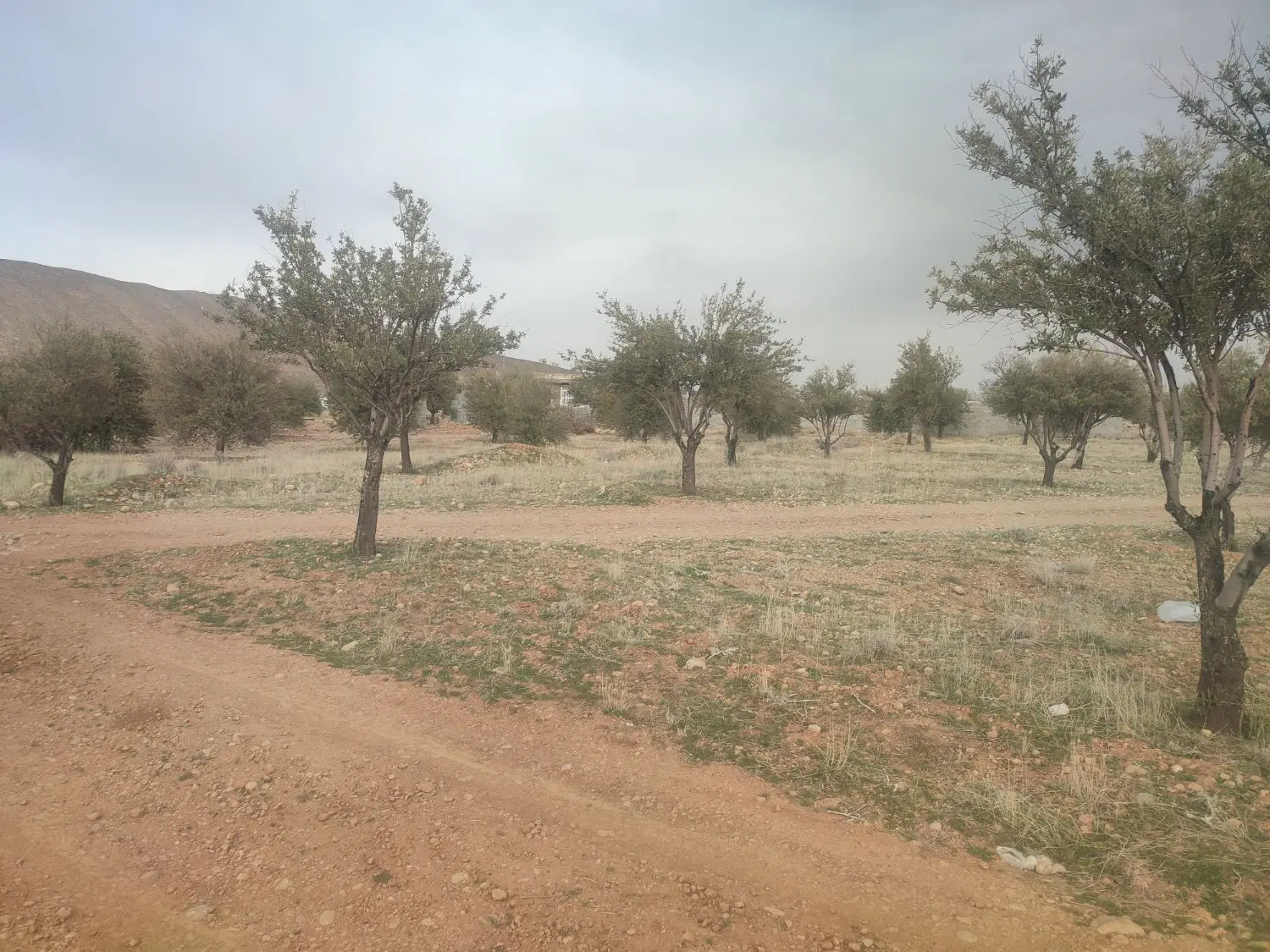 زمین باغ شهری