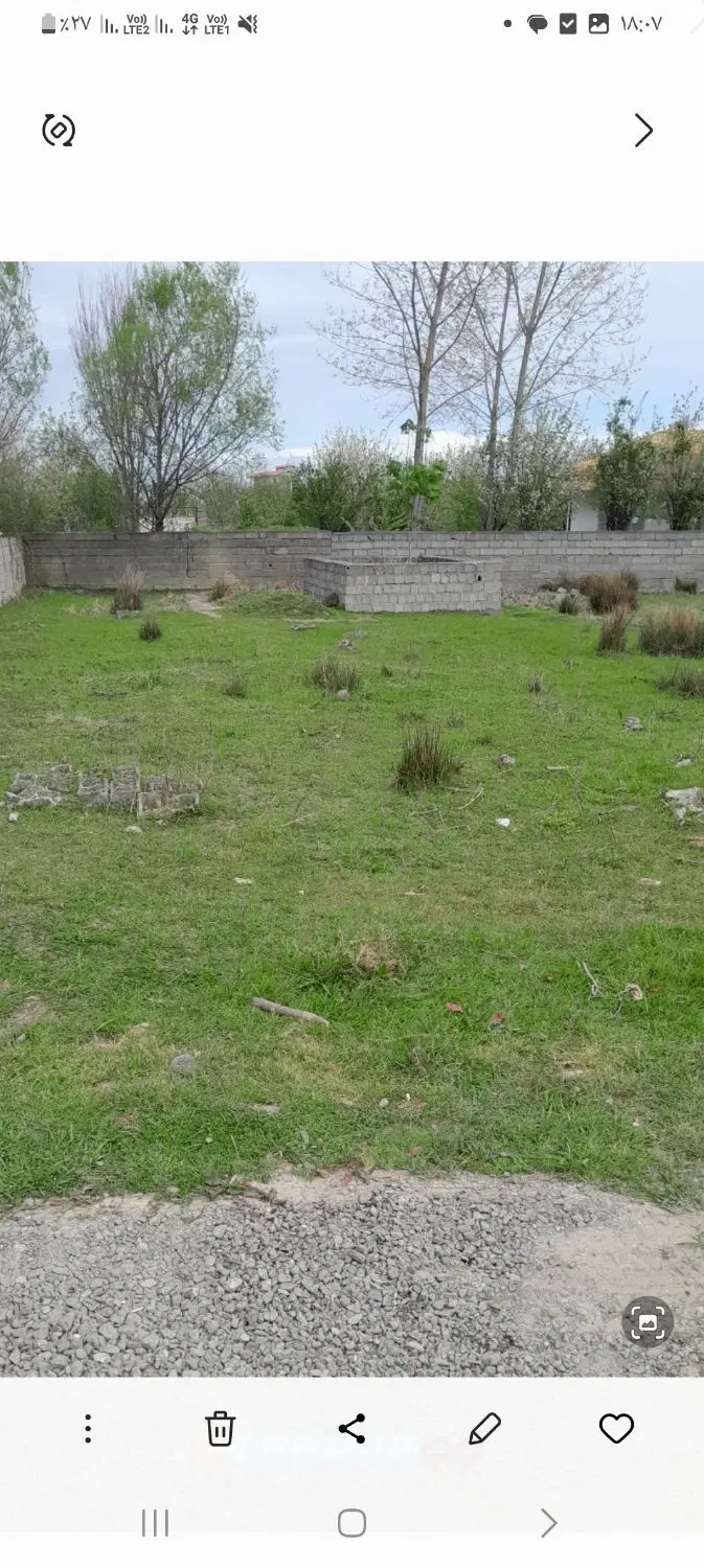 زمین